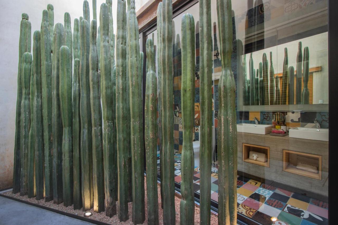 Casa Carmen Reforma Hotel Oaxaca Luaran gambar