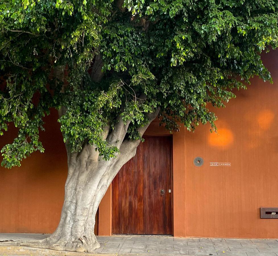 Casa Carmen Reforma Hotel Oaxaca Luaran gambar