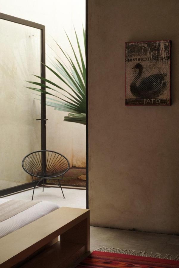 Casa Carmen Reforma Hotel Oaxaca Luaran gambar