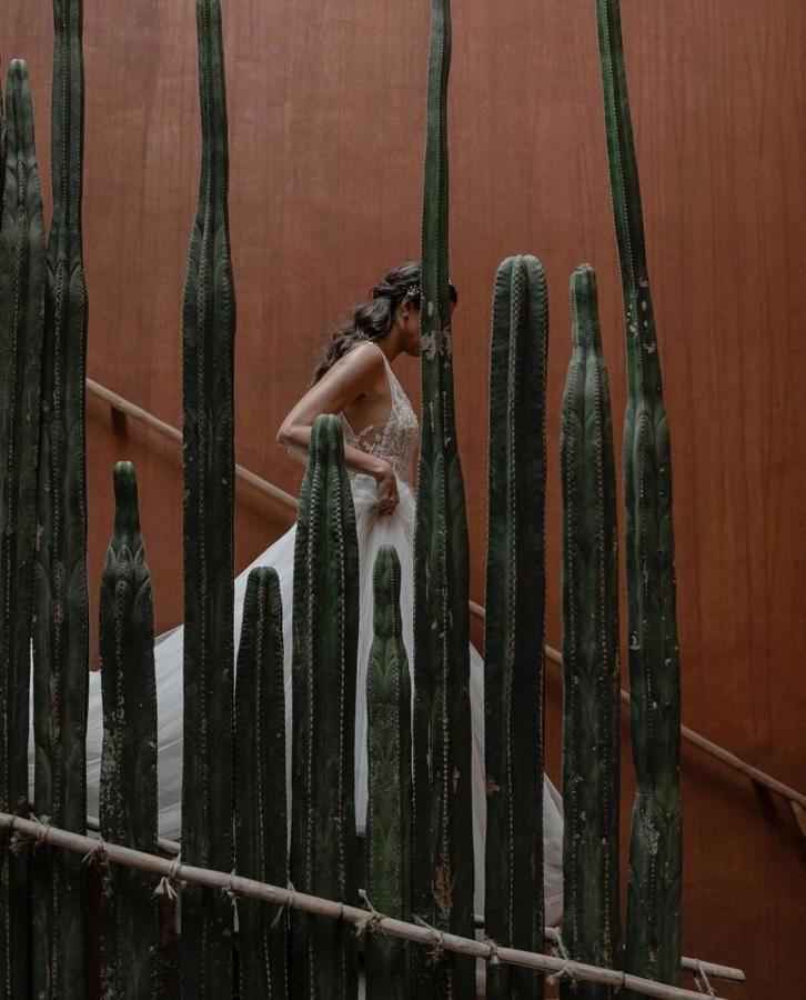 Casa Carmen Reforma Hotel Oaxaca Luaran gambar