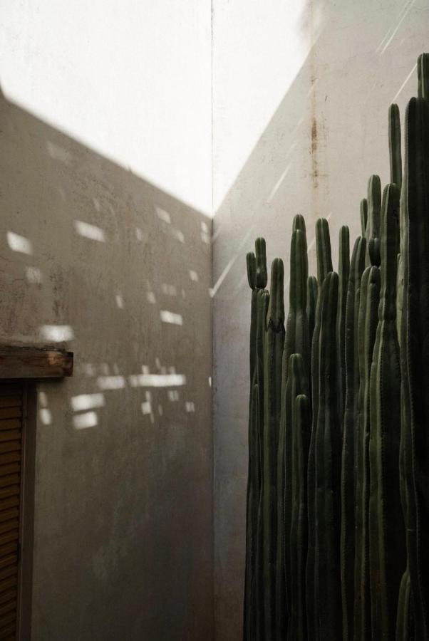 Casa Carmen Reforma Hotel Oaxaca Luaran gambar