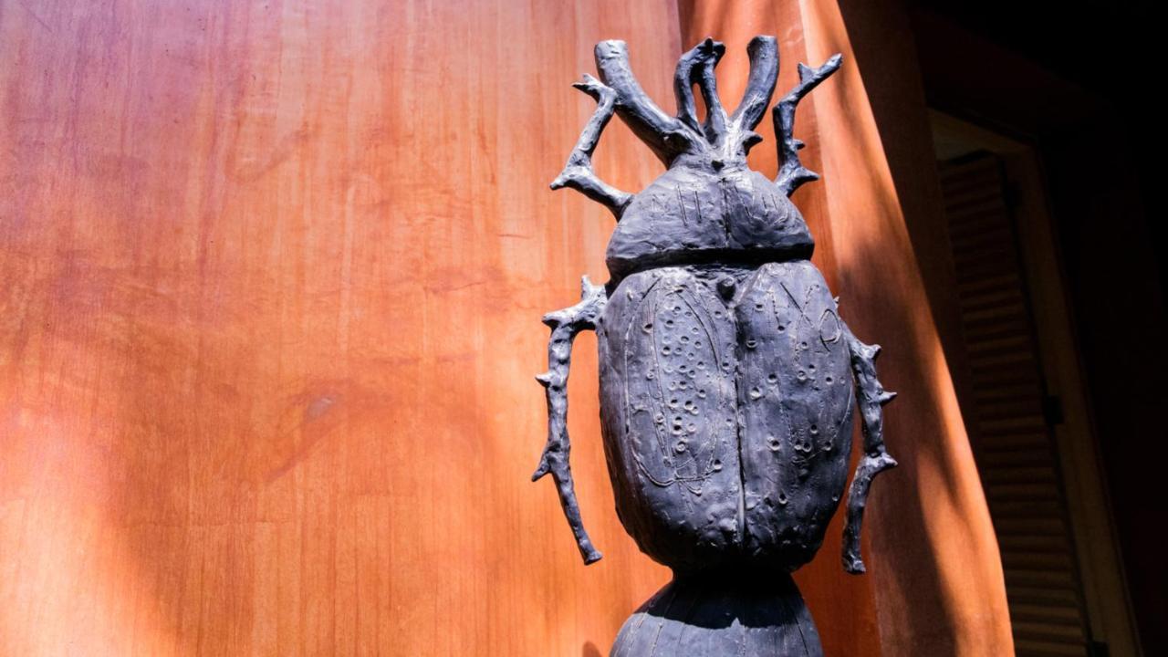 Casa Carmen Reforma Hotel Oaxaca Luaran gambar