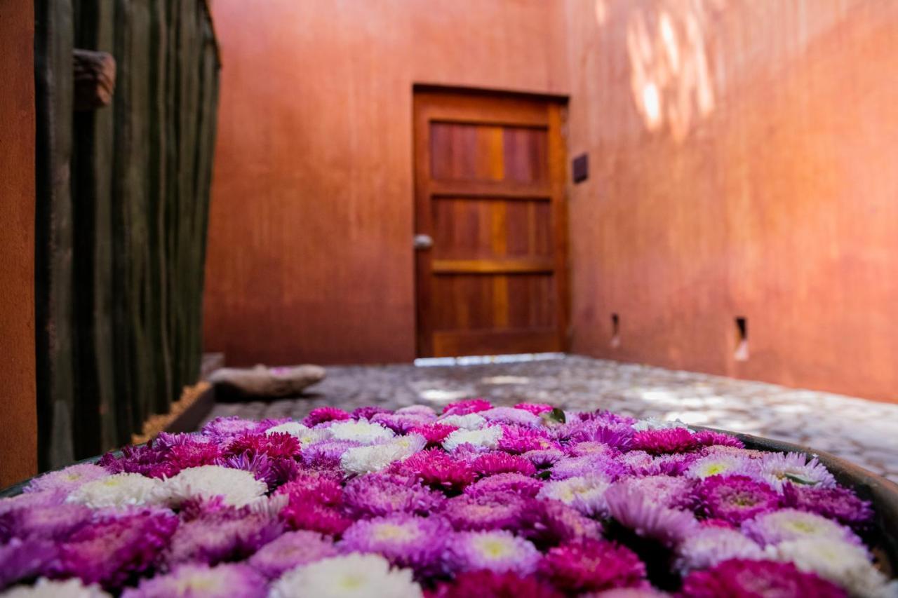 Casa Carmen Reforma Hotel Oaxaca Luaran gambar